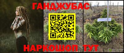 шишки Коммунар