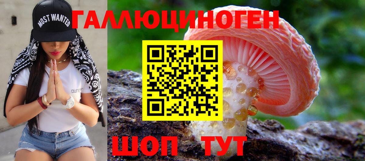 Псилоцибиновые грибы GOLDEN TEACHER  Вход с VPN  Карасук 